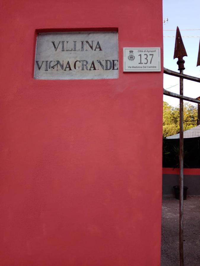B&B Vigna Grande Agropoli Zewnętrze zdjęcie